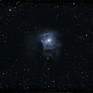 Iris-Nebel NGC 7023 in Cep