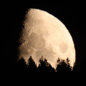 mond1.jpg