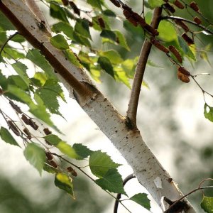 IMG_4177-optimiert-komprimiert.jpg