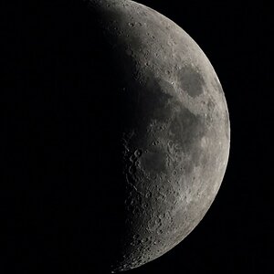 Mond