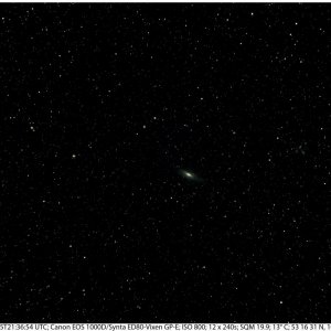 NGC7331