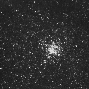 M11