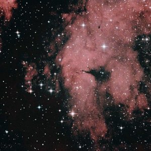 Nebel westlich von Gamma Cygni