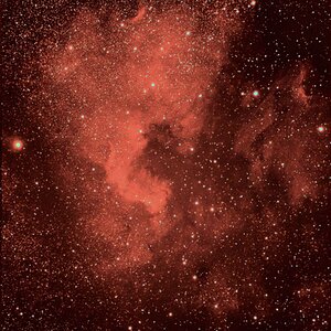NGC7000