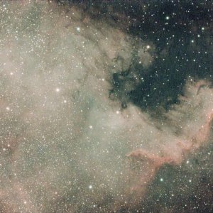 NGC 7000 Nordamerikanebel 90/600 Astronomik UHC