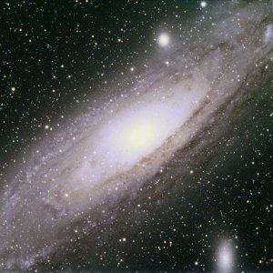 M31, ALccd6c