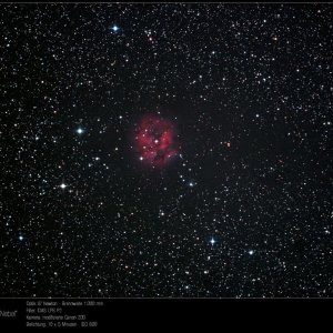 IC 5146 - Cocoon-Nebula