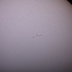 unser erstes Sonnenfoto im Weißlicht