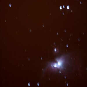 M42: Orion-Nebel vom 14.11.2009
