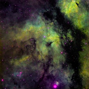 IC1318 und NGC6910