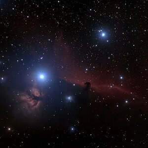 IC 434 und Pferdekopfnebel