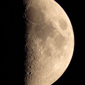 Mond