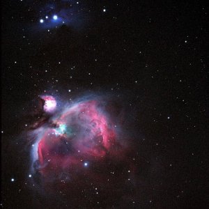 1001.  M42  im Forum