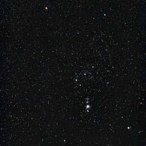 Orion