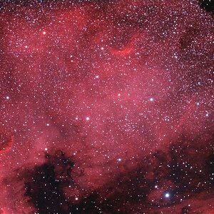 NGC 7000 - Nordamerikanebel