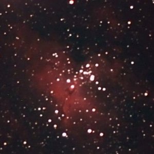 m16.color.jpg