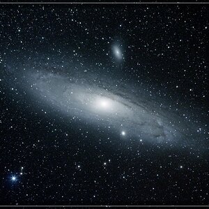 M31