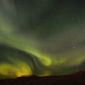 Polarlicht bei Andenes, Norwegen