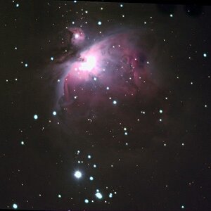 Orionnebel mit 260mm Brennweite, DMK41