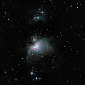 Orionnebel (280mm; ohne Nachführung)
