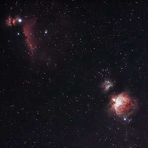 Orion2010-02-16-2a.jpg