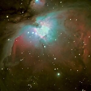 M42 LRGB  Orion 80 ED + 314L