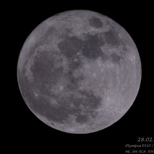 Vollmond 28.02.2010 - erste Verusche -