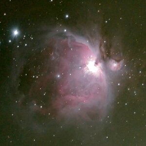 M42-Orionnebel vom 4.3.2010