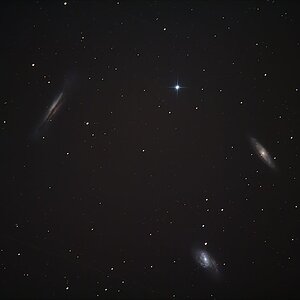 Leo - Triplett