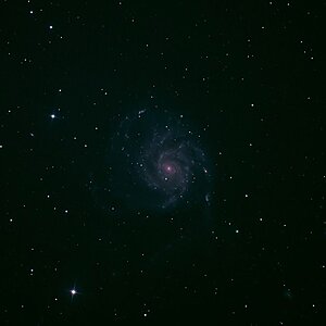 M101
