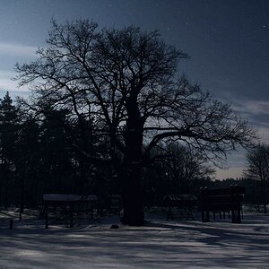 Januar-Vollmond