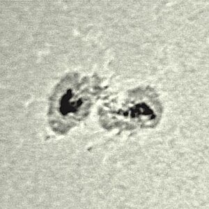 Sonnenflecken AR 11057 am 25.03.2010