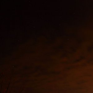 Selten: ein Löwe direkt überm Osterfeuer...