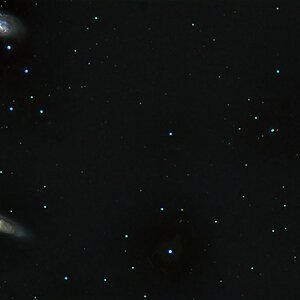 Leo Triplett