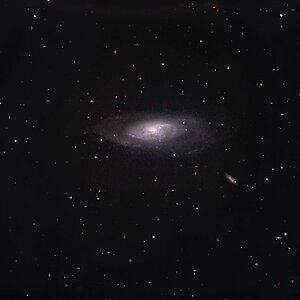 M106 und Gefolge...