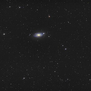 Frühlingsgrüße mit der Sunflower-Galaxie
