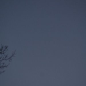 IMG_4511.jpg