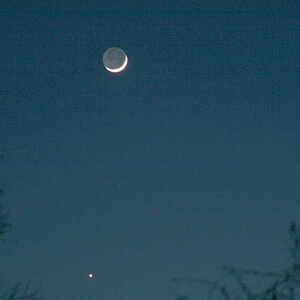 Mond und Venus
