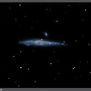 Hering nach astronomischer Art
