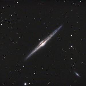 NGC 4565