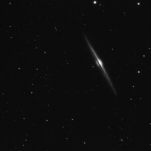 ngc 4565