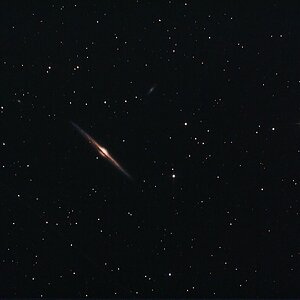 NGC 4565
