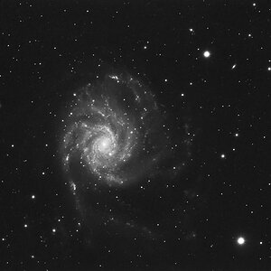 M101