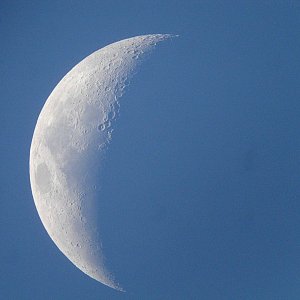 Blue Moon