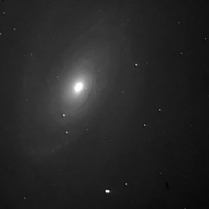 M81 mit Watec 120 N+