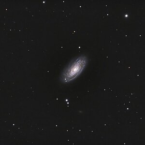 M 88