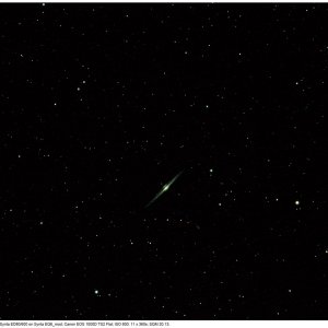 NGC 4565