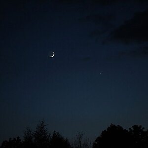 Mond und Venus am 16.5.2010