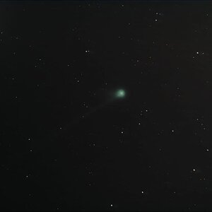 McNaught am 13.6.
