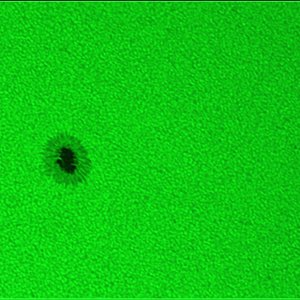 Sonne_20100704_13h52MESZ_120ED_Scopium.jpg
